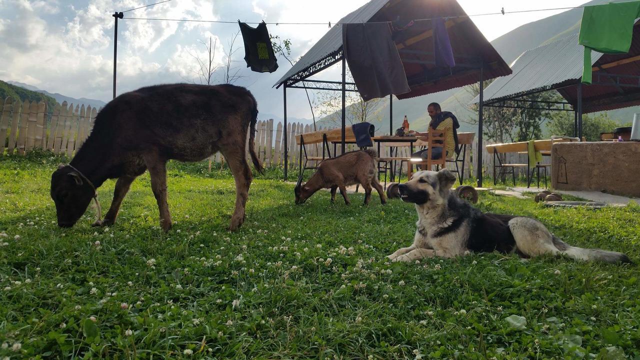 Guesthouse Angelina Ushguli Εξωτερικό φωτογραφία